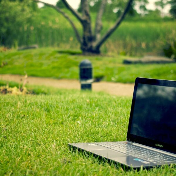 MS Word Eğitimi | Sertifika Programı