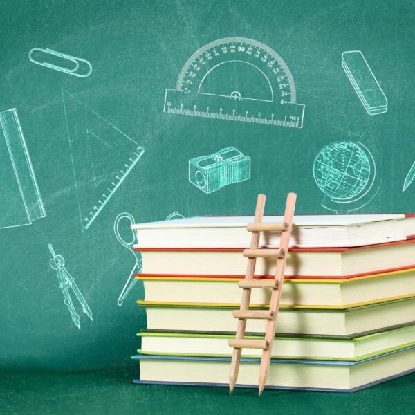 Profesyonel Eğitim Koçluğu Eğitimi | Sertifika Programı